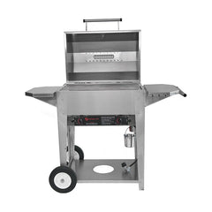 Classic Gas Grill - WG1009